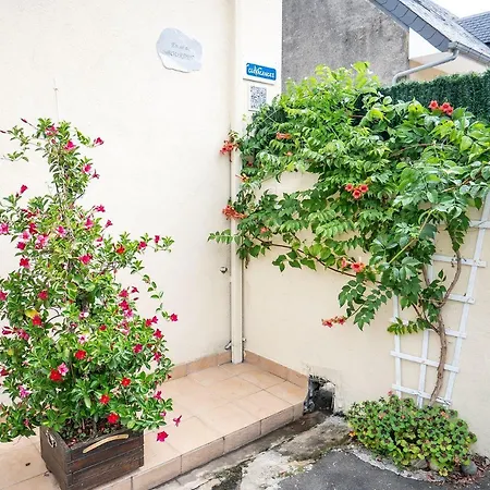 فيلة En So De Bourdet *